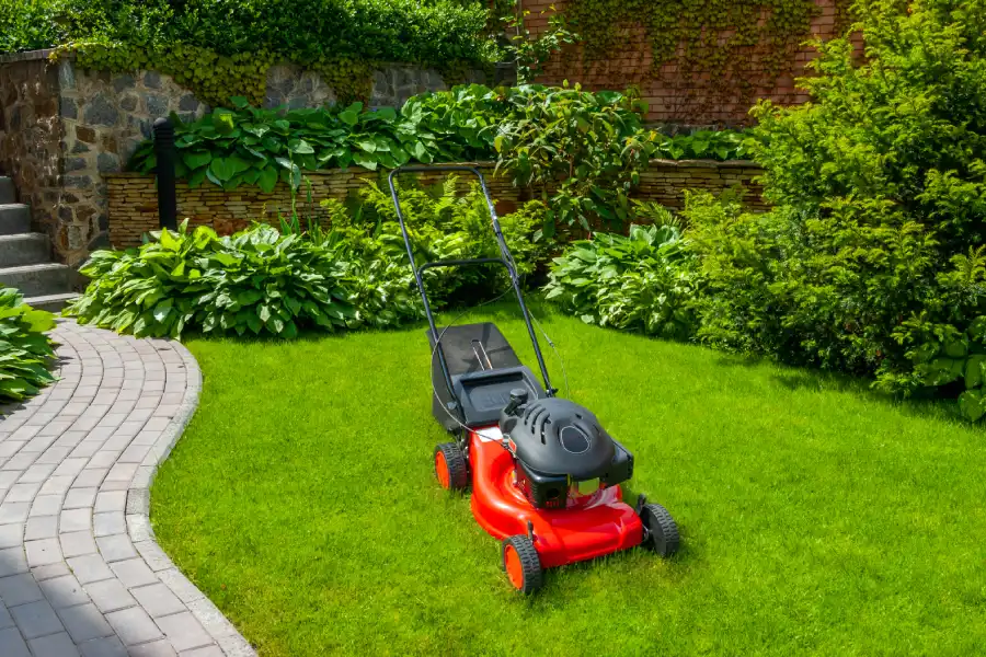 Professional Landscaping Contractor in Las Vegas, NV
