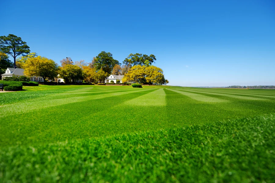 Boosting Curb Appeal With Expert Lawn Care Services in Las Vegas, NV