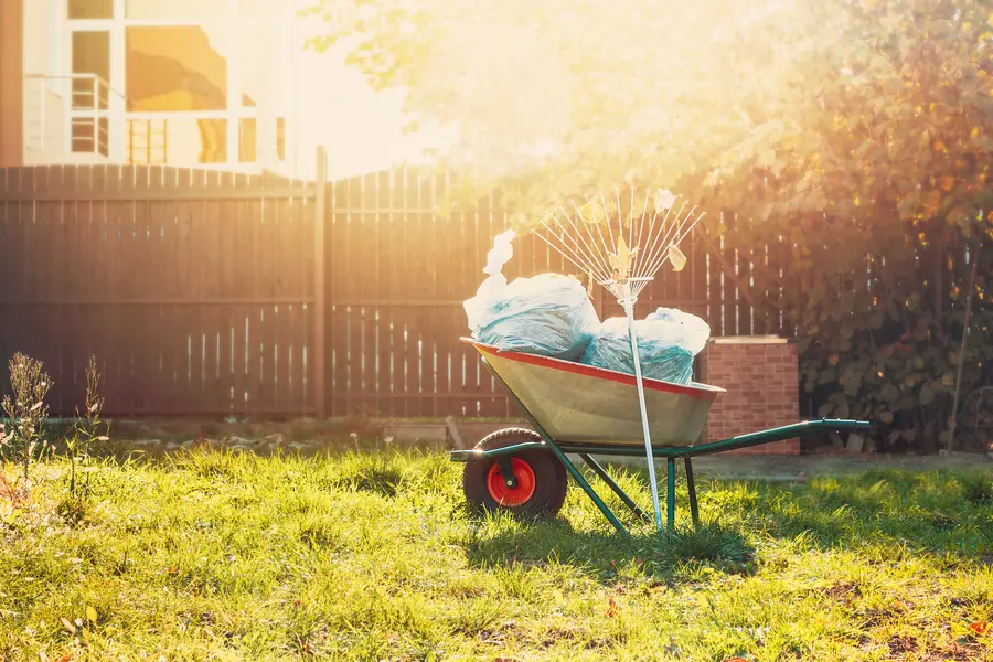 Common Yard Cleaning Mistakes And How To Avoid Them in Las Vegas, NV