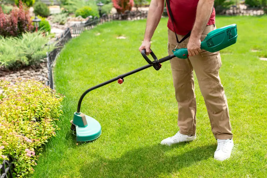 Excellent Lawn Care in Las Vegas, NV
