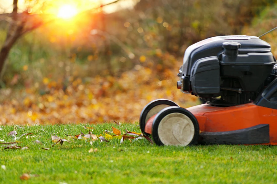 Maximizing Client Satisfaction With Expert Lawn Care in Las Vegas, NV