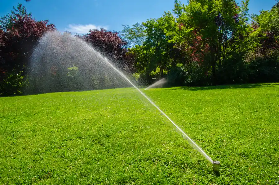 Signs Your Irrigation System Needs Maintenance in Las Vegas, NV