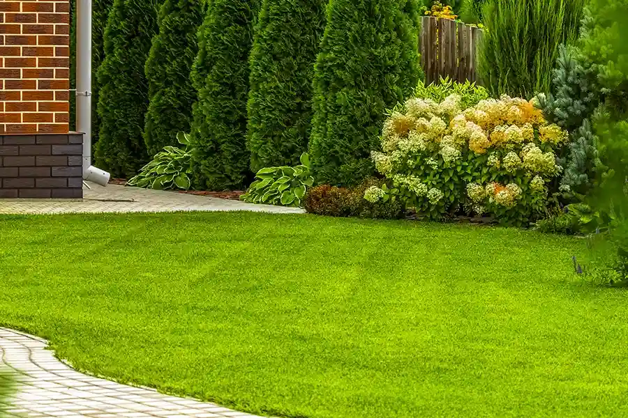 Superior Lawn Care in Las Vegas, NV