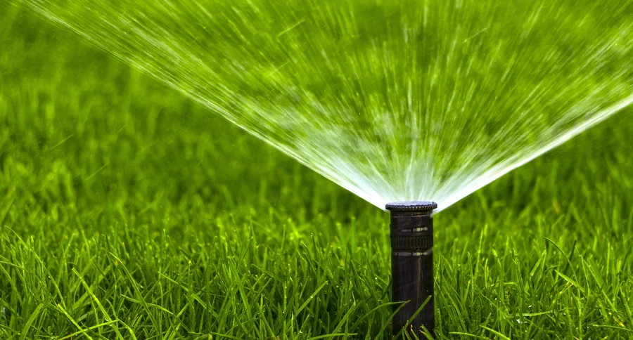 Understanding Different Types Of Irrigation Systems in Las Vegas, NV